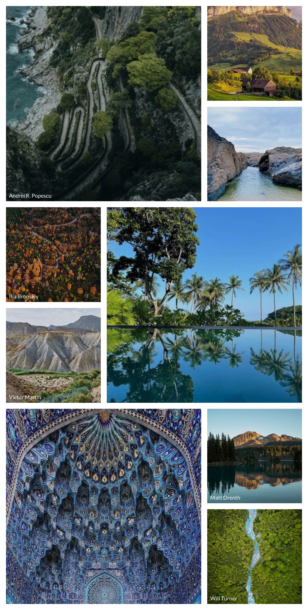 collage.png