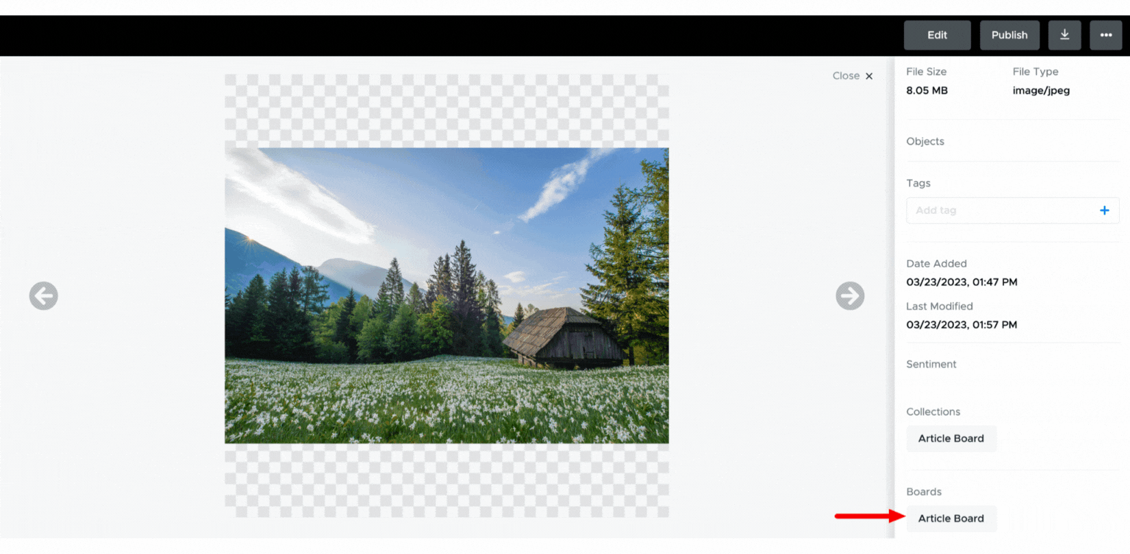 How_to_navigate_between_UGC_Studio_and_TINT_board_-_UGC_Studio_-_19th_May_2023.gif