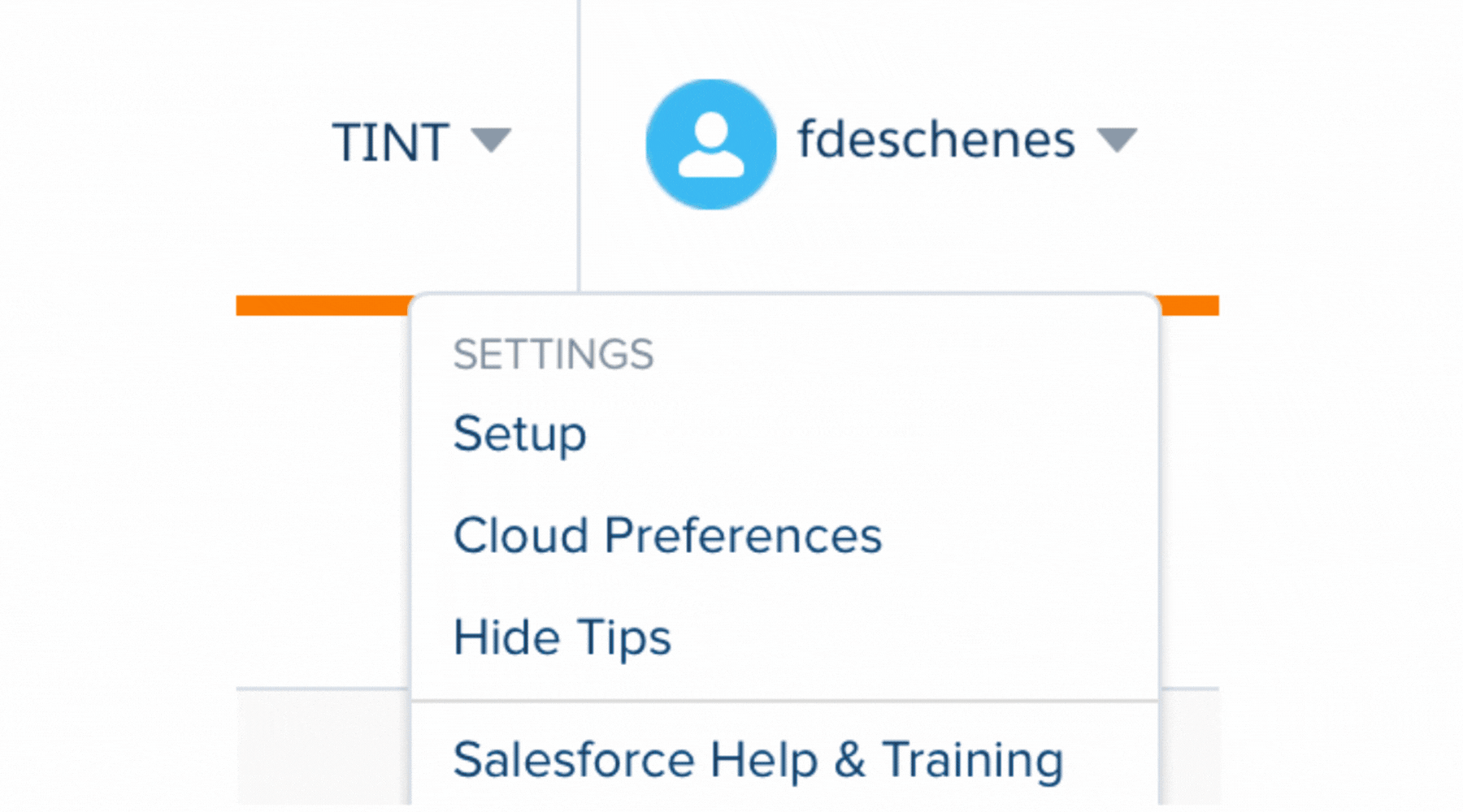 How to add TINT in SalesForce - 24th July 2023 (1800 × 1000 px).gif
