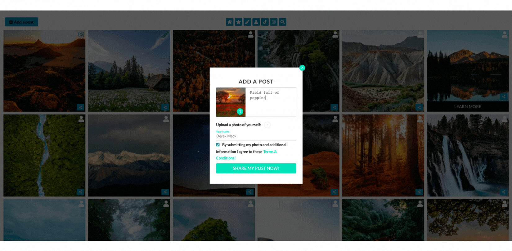 Auto Tag in PAaP - Tagging for Product and R&Rs - 8th September.gif