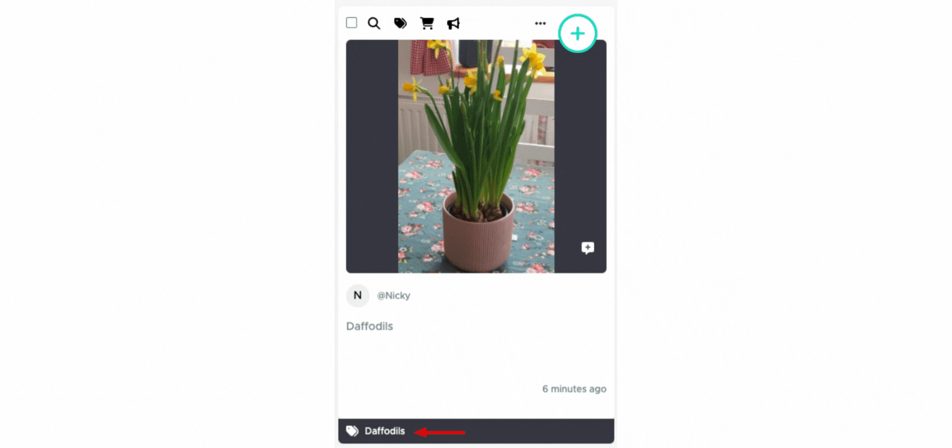 Difference Tag vs Product Tags - Tagging for Product and R&Rs - 8th September.gif