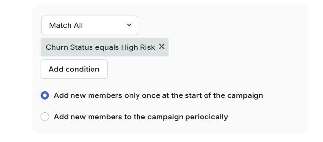 Churn Status as a campaign audience condition